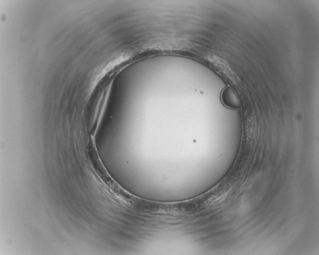 X0000059060727200511041728