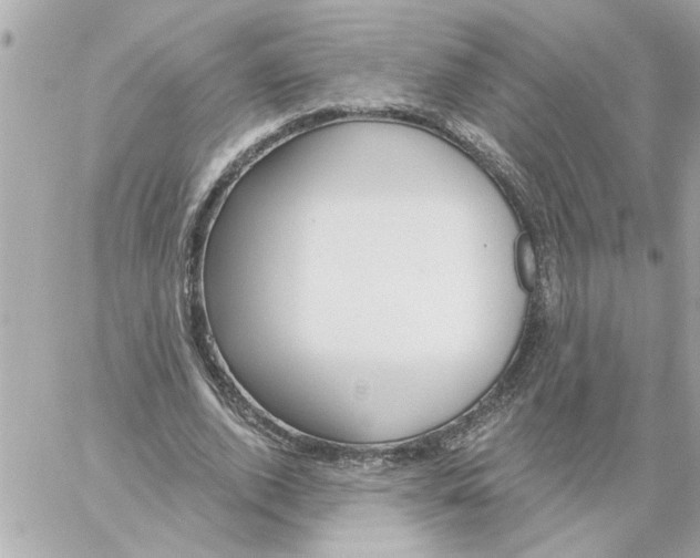 X0000059060728200511041728