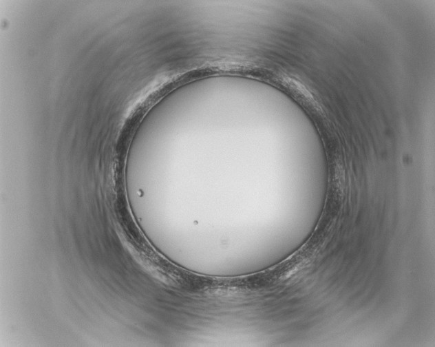 X0000059060730200511041728