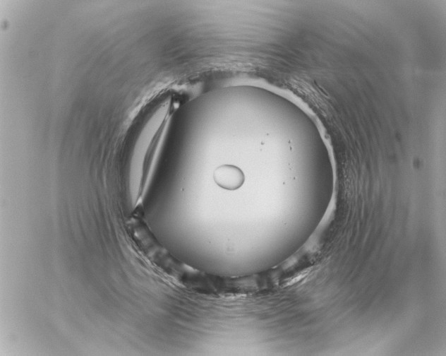 X0000059060731200511041728