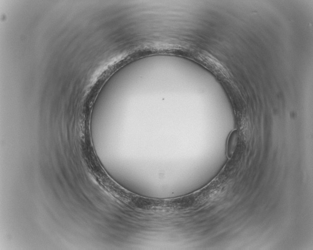 X0000059060732200511041728