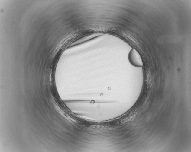 X0000059060733200511041728