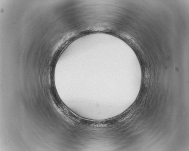 X0000059060734200511041728