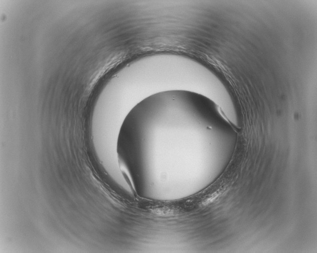 X0000059060735200511041728