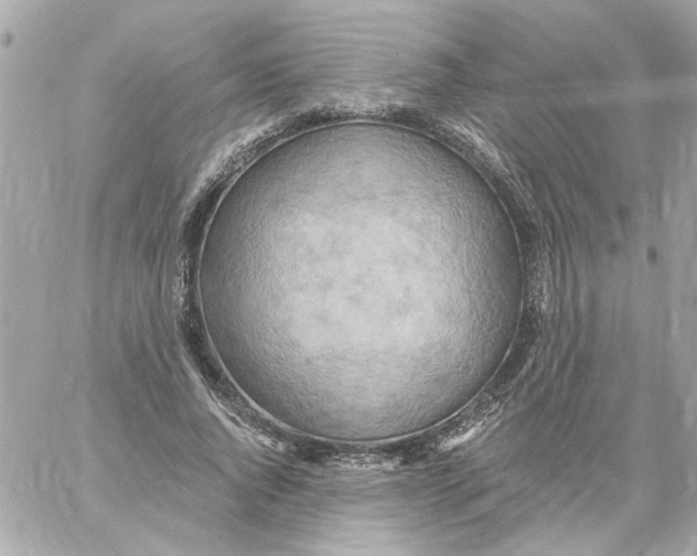 X0000059060736200511041728