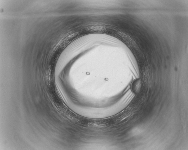 X0000059060739200511041728