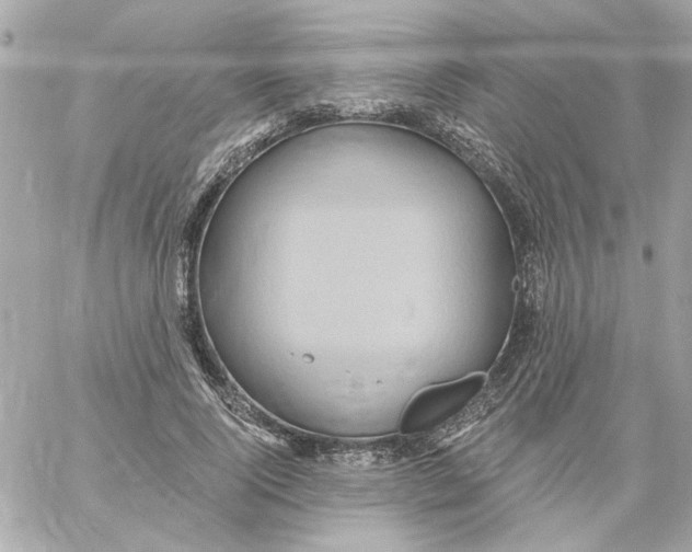 X0000059060740200511041728