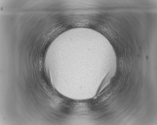 X0000059060741200511041728