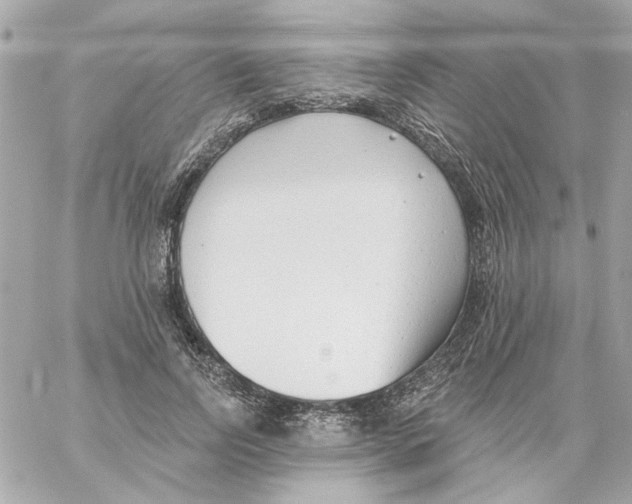 X0000059060742200511041728