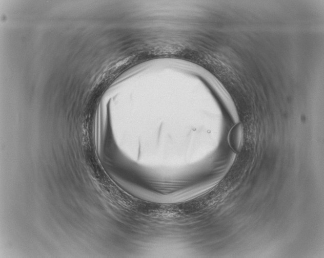 X0000059060743200511041728