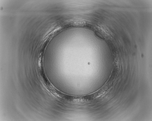 X0000059060744200511041728