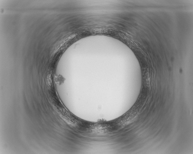 X0000059060746200511041728