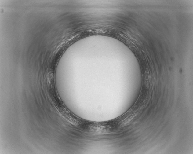 X0000059060747200511041728