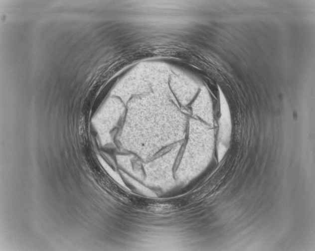 X0000059060748200511041728