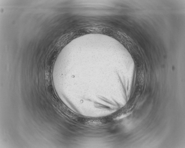 X0000059060749200511041728