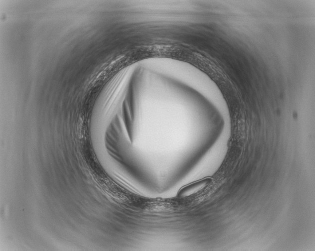 X0000059060750200511041728