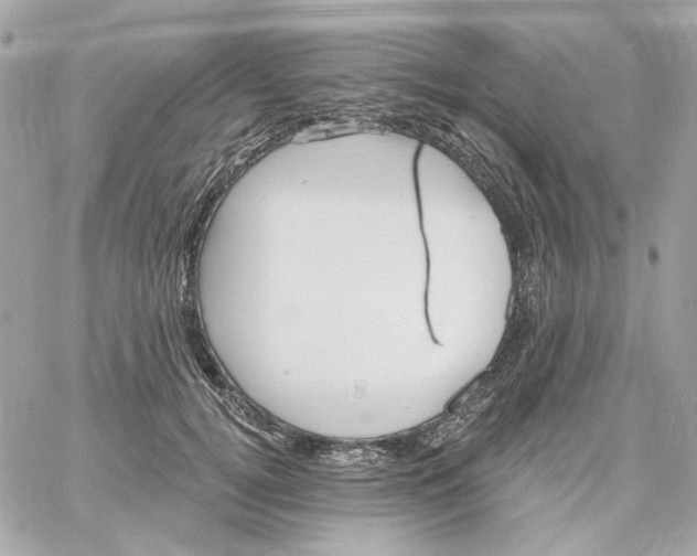 X0000059060752200511041728