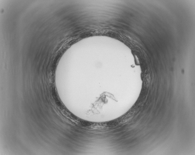 X0000059060756200511041728