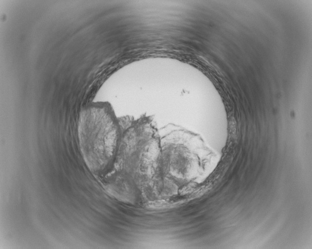 X0000059060757200511041728