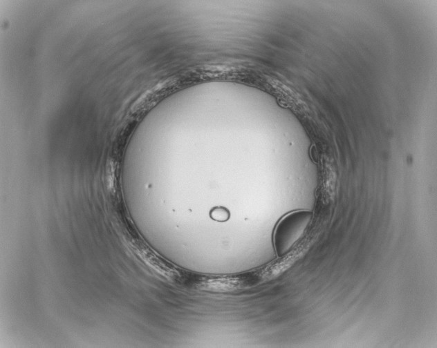 X0000059060758200511041728