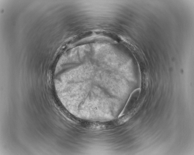 X0000059060760200511041728