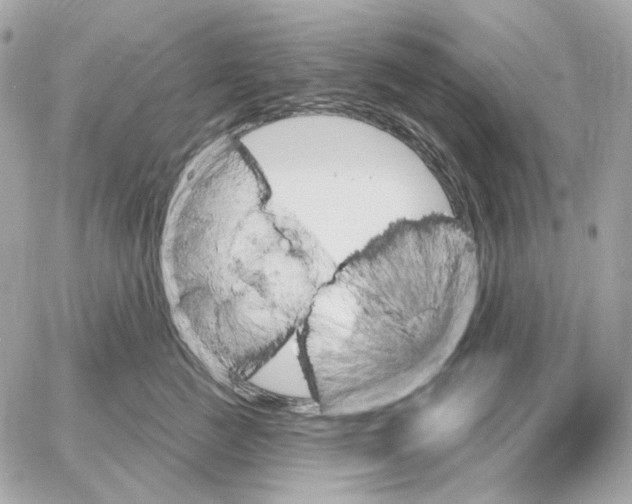 X0000059060761200511041728