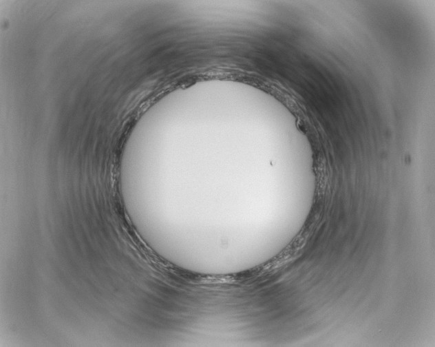 X0000059060762200511041728