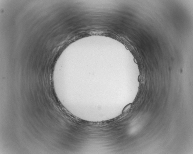 X0000059060763200511041728