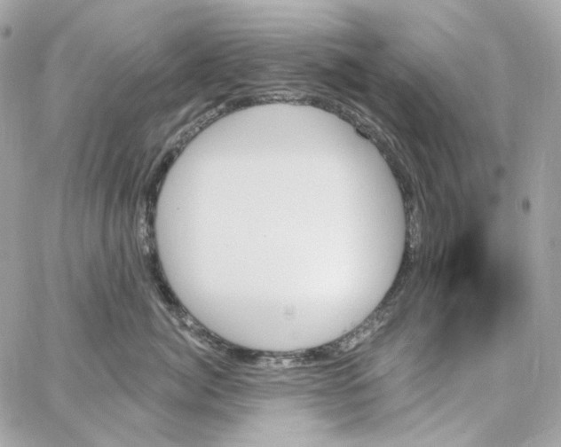 X0000059060764200511041728