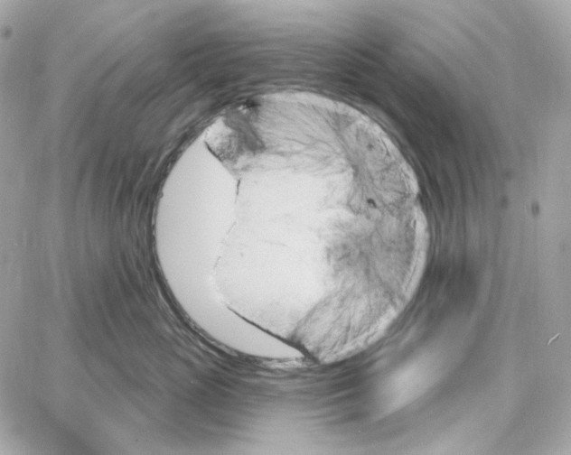 X0000059060765200511041728