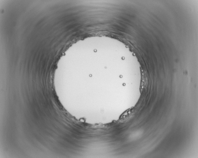 X0000059060767200511041728