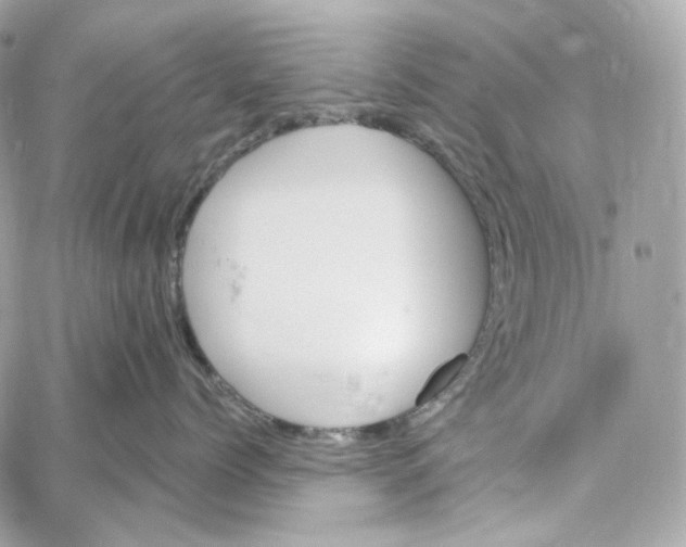 X0000059060768200511041728