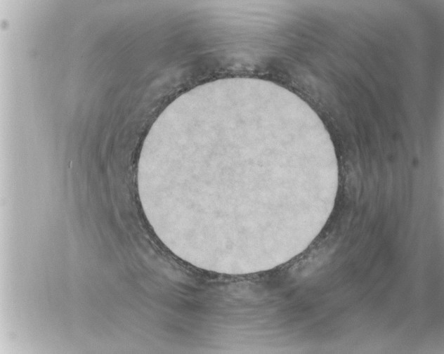 X0000059060769200511041728