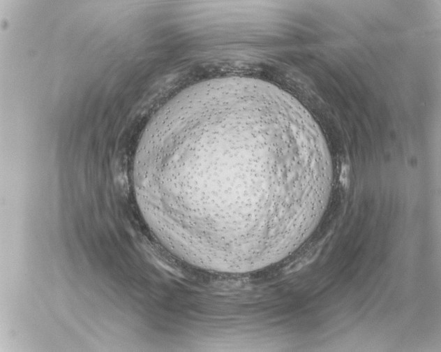 X0000059060771200511041728