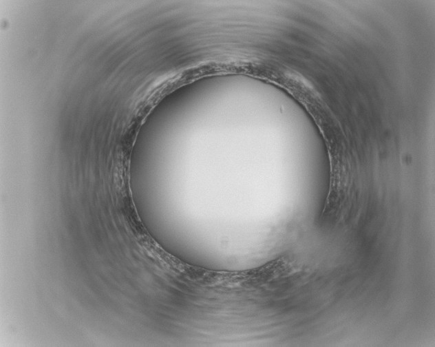 X0000059060773200511041728