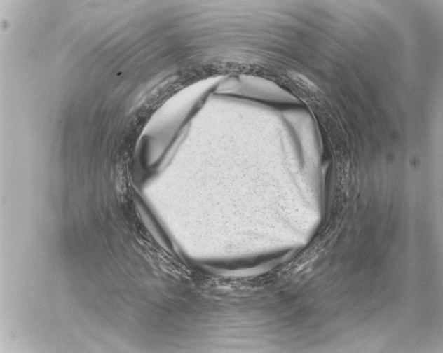 X0000059060774200511041727