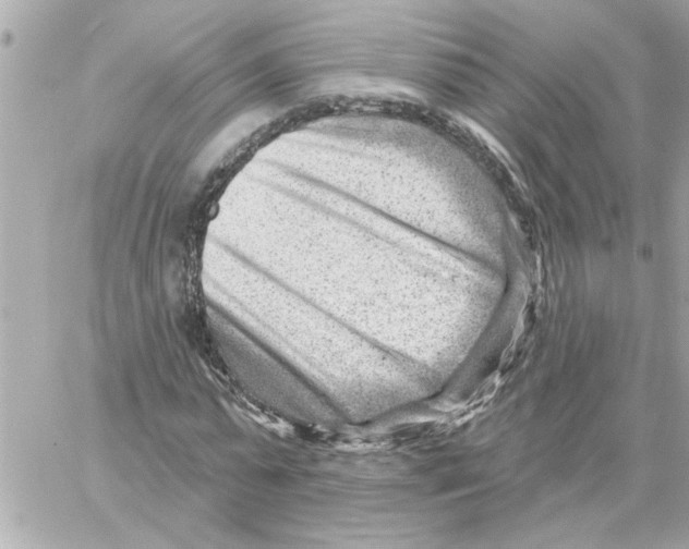 X0000059060775200511041727