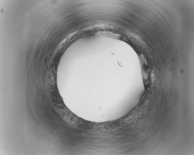 X0000059060776200511041727