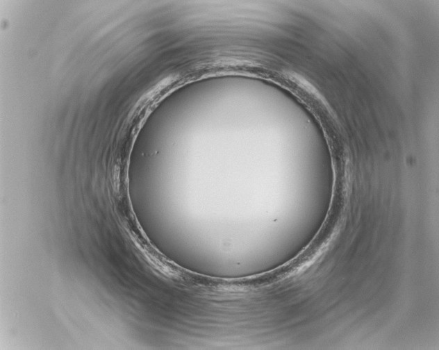 X0000059060777200511041727