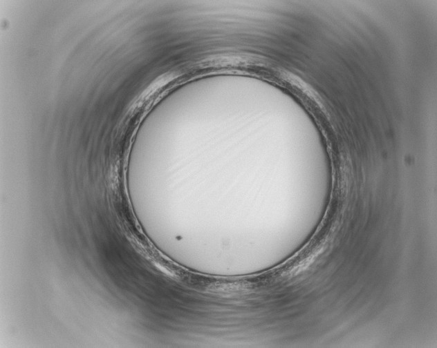 X0000059060778200511041727