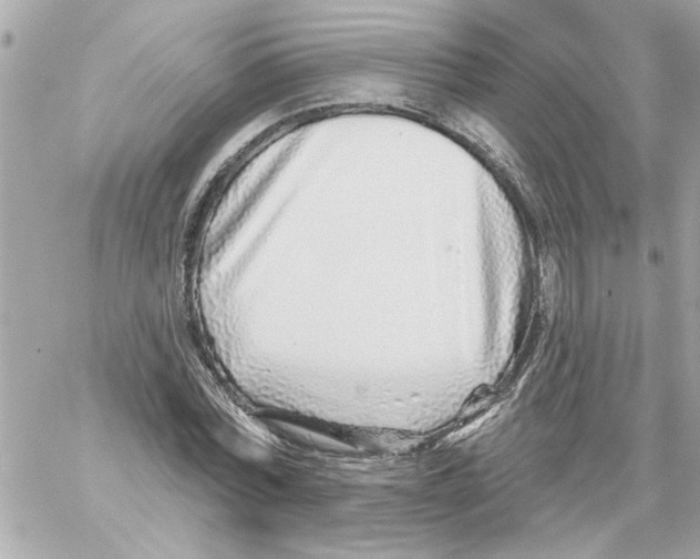 X0000059060780200511041727