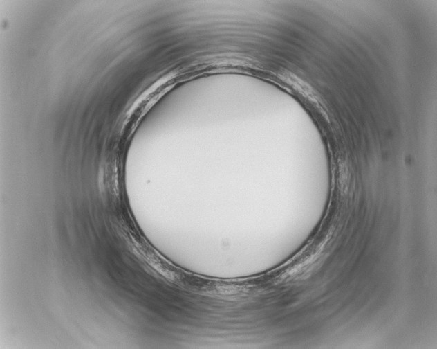 X0000059060782200511041727