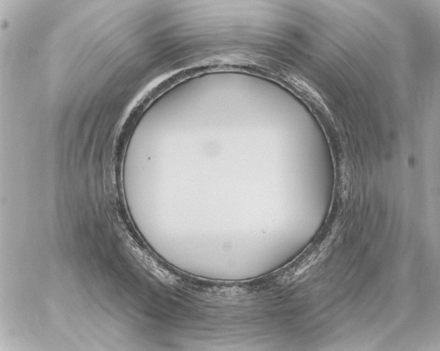 X0000059060784200511041727