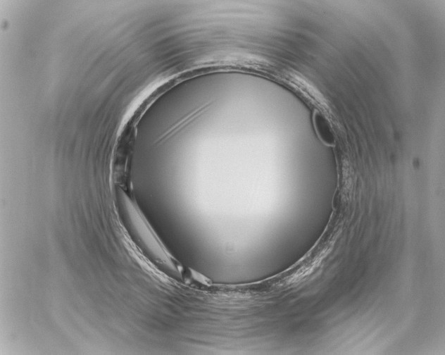 X0000059060788200511041727