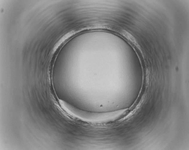 X0000059060789200511041727