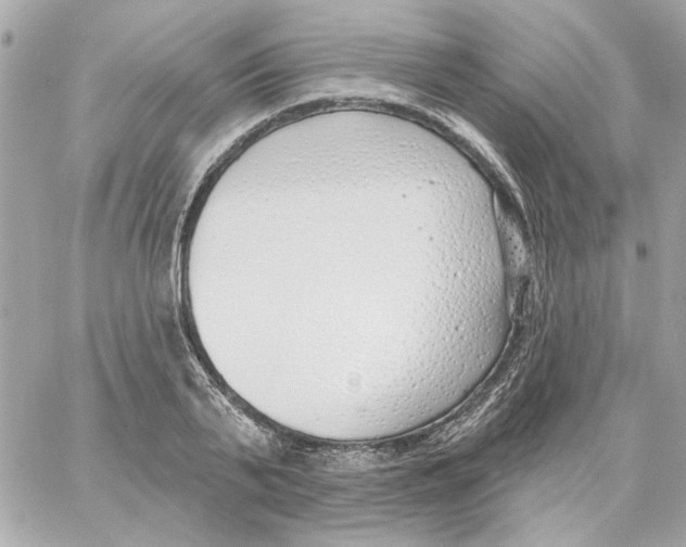 X0000059060791200511041727