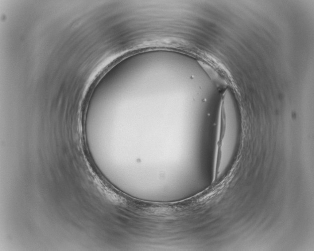 X0000059060792200511041727