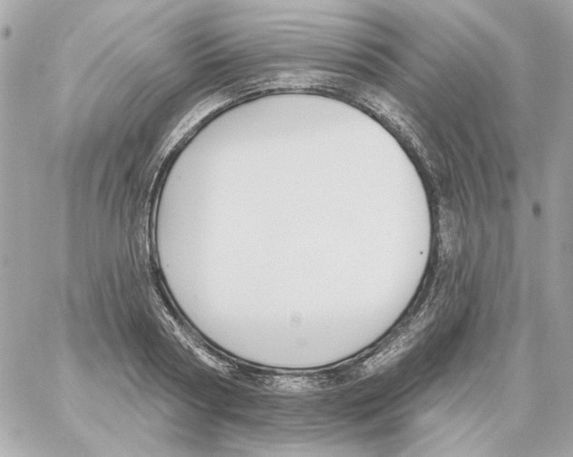 X0000059060794200511041727