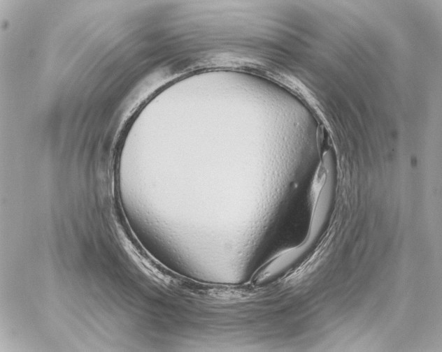 X0000059060795200511041727