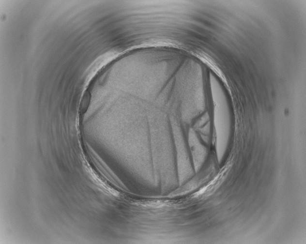 X0000059060797200511041727